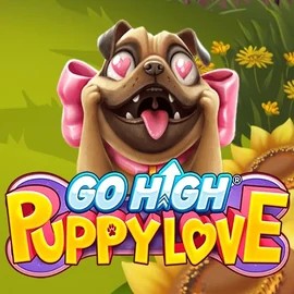 Go High Puppy Love slot visual from RubyPlay available on fridayrollcasinoo.com
