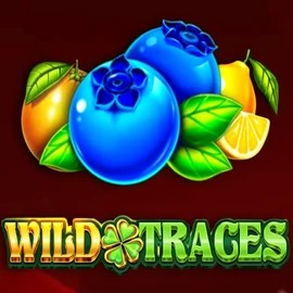 Play the Wild Traces slot by Amusnet Interactive on Fridayroll Casino